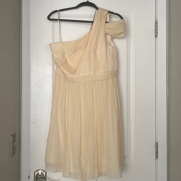 Champagne Colored J.Crew Chiffon Cara Dress Size 12 NWT - Picture 3 of 9